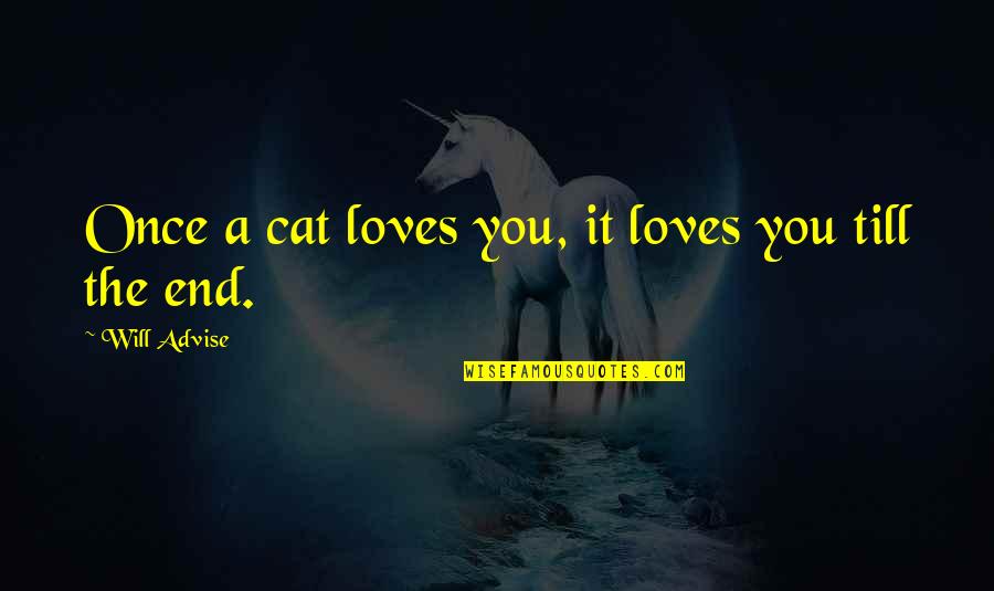Cat Pets Quotes By Will Advise: Once a cat loves you, it loves you