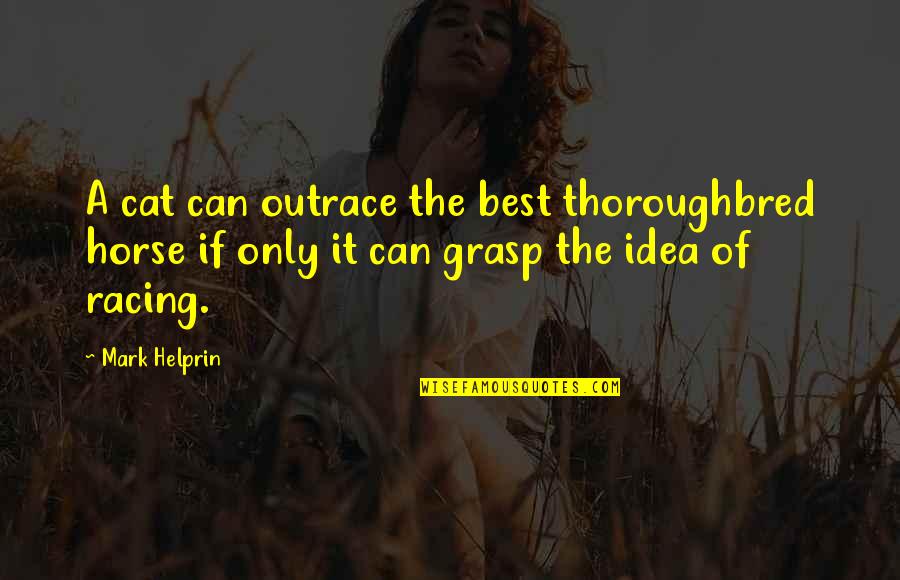 Cat Quotes By Mark Helprin: A cat can outrace the best thoroughbred horse Cat Quotes By Mark Helprin: A cat can outrace the best thoroughbred horse