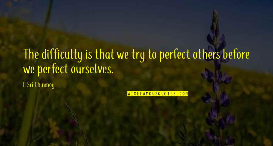 Cat S Insurance Quotes By Sri Chinmoy: The difficulty is that we try to perfect