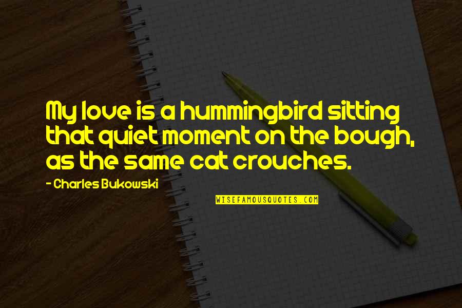 Cat Sitting Quotes By Charles Bukowski: My love is a hummingbird sitting that quiet