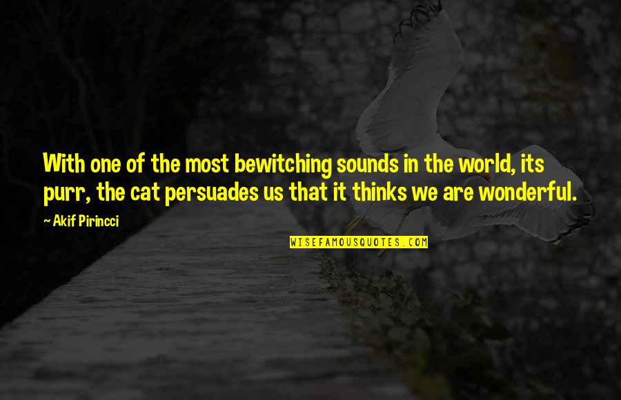 Cat Sounds Quotes By Akif Pirincci: With one of the most bewitching sounds in