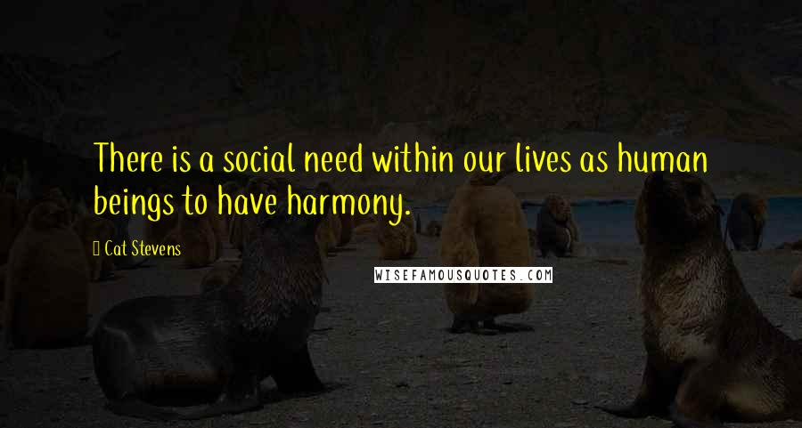 Cat Stevens quotes: There is a social need within our lives as human beings to have harmony.