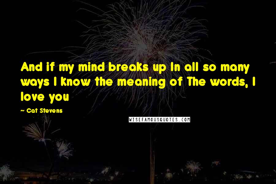Cat Stevens quotes: And if my mind breaks up In all so many ways I know the meaning of The words, I love you