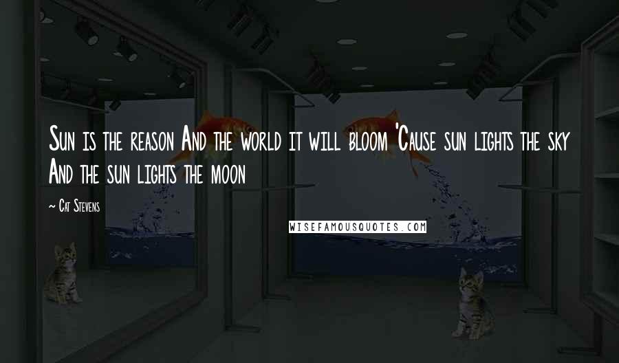 Cat Stevens quotes: Sun is the reason And the world it will bloom 'Cause sun lights the sky And the sun lights the moon