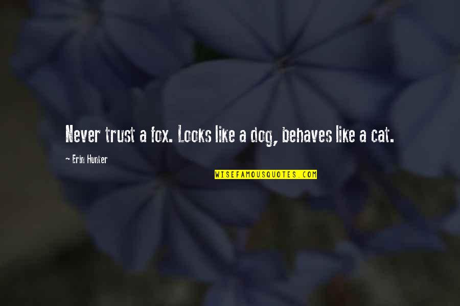 Cat Trust Quotes By Erin Hunter: Never trust a fox. Looks like a dog,