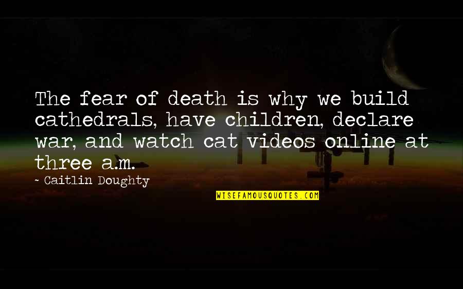 Cat Videos Quotes By Caitlin Doughty: The fear of death is why we build