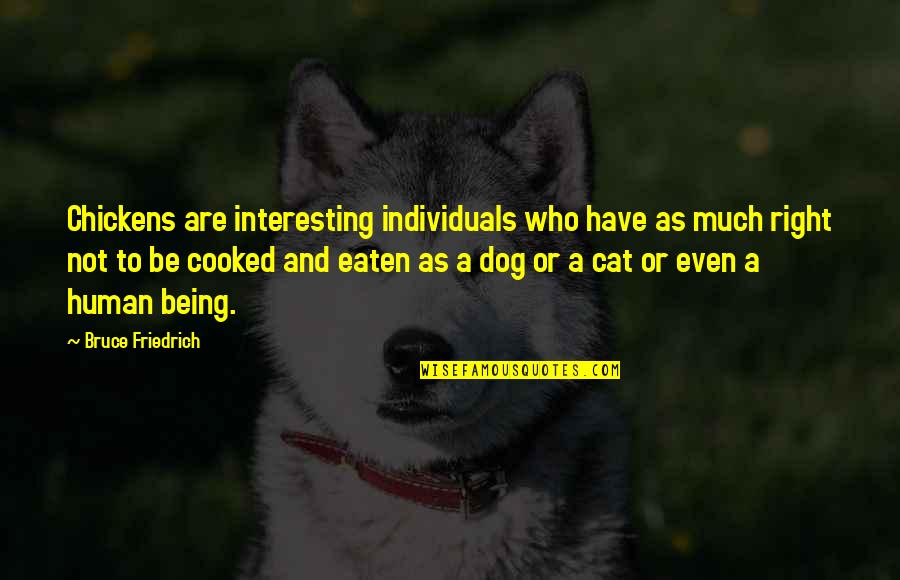 Cat Vs Human Quotes By Bruce Friedrich: Chickens are interesting individuals who have as much