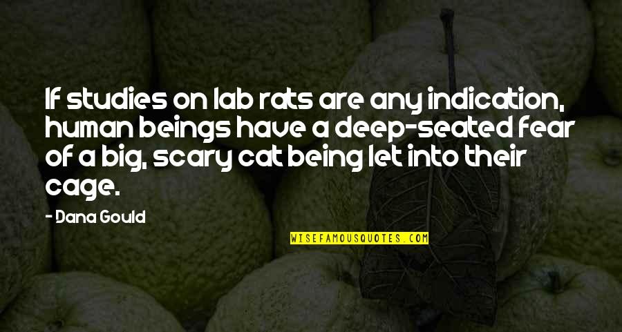 Cat Vs Human Quotes By Dana Gould: If studies on lab rats are any indication,