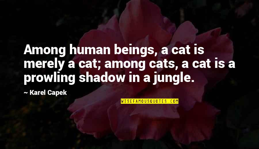 Cat Vs Human Quotes By Karel Capek: Among human beings, a cat is merely a