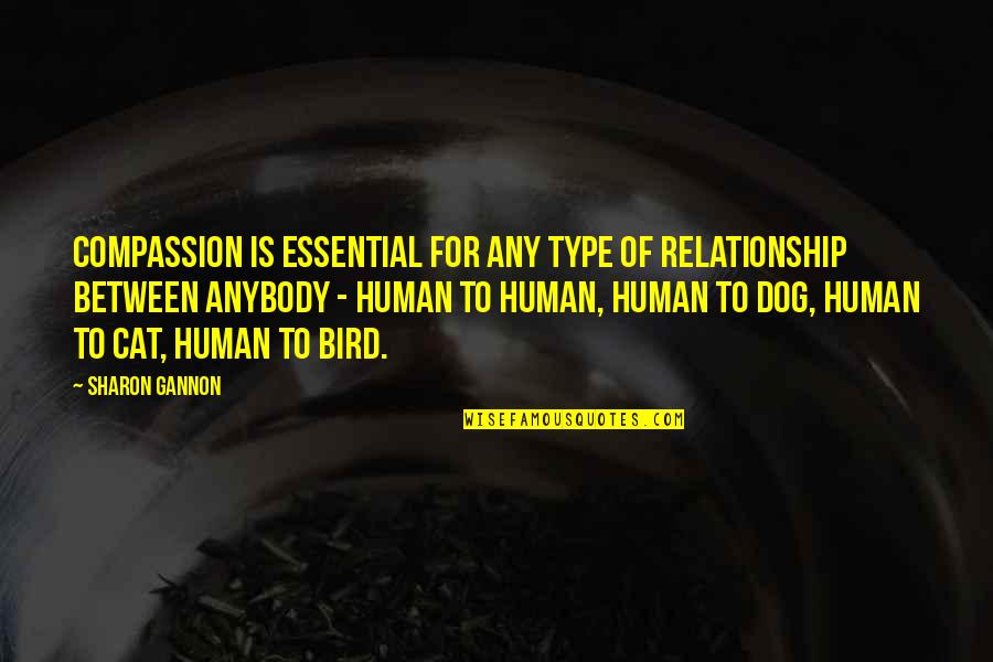 Cat Vs Human Quotes By Sharon Gannon: Compassion is essential for any type of relationship