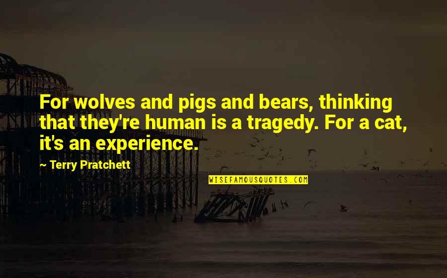 Cat Vs Human Quotes By Terry Pratchett: For wolves and pigs and bears, thinking that