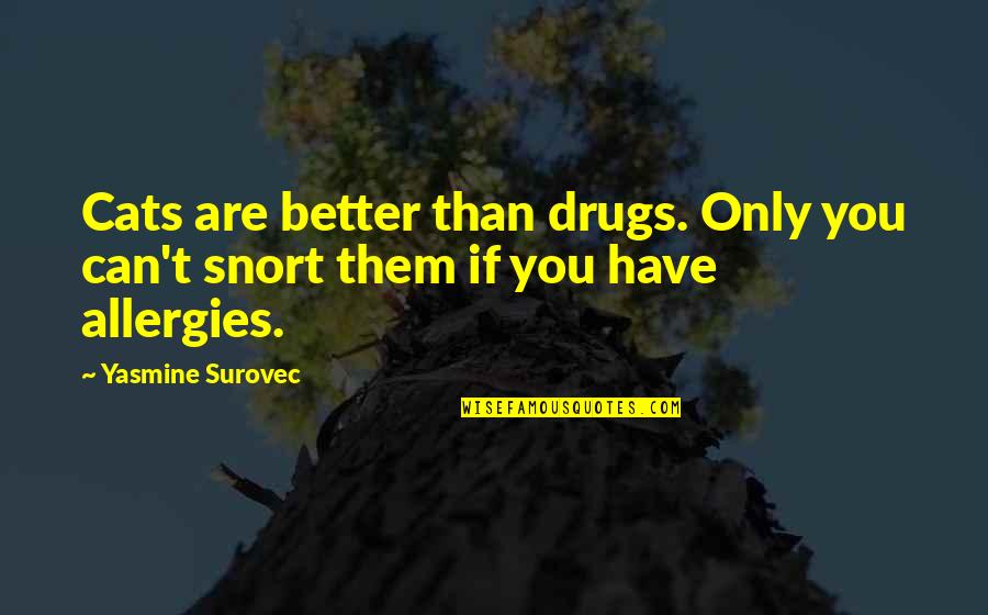 Cat Vs Human Quotes By Yasmine Surovec: Cats are better than drugs. Only you can't