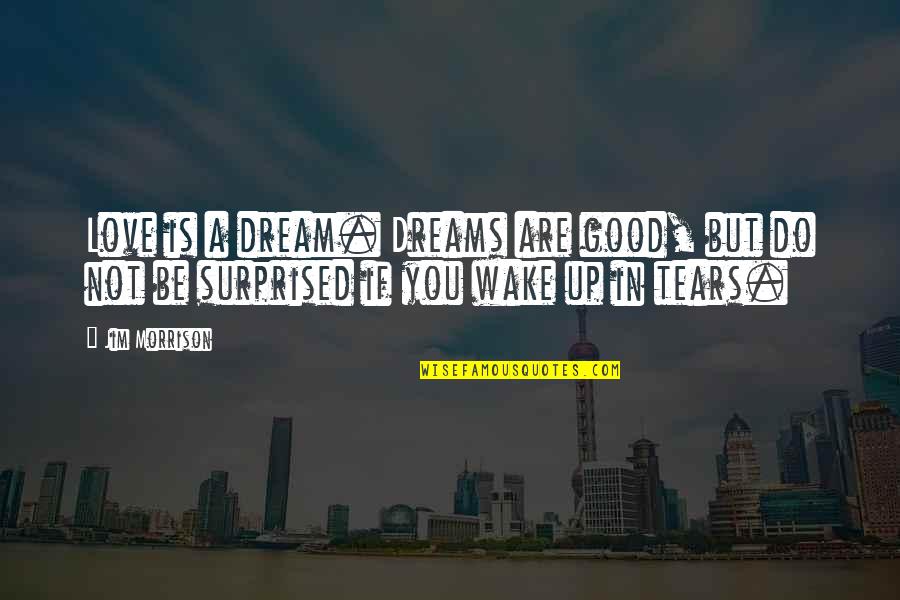 Catabasis Quotes By Jim Morrison: Love is a dream. Dreams are good, but