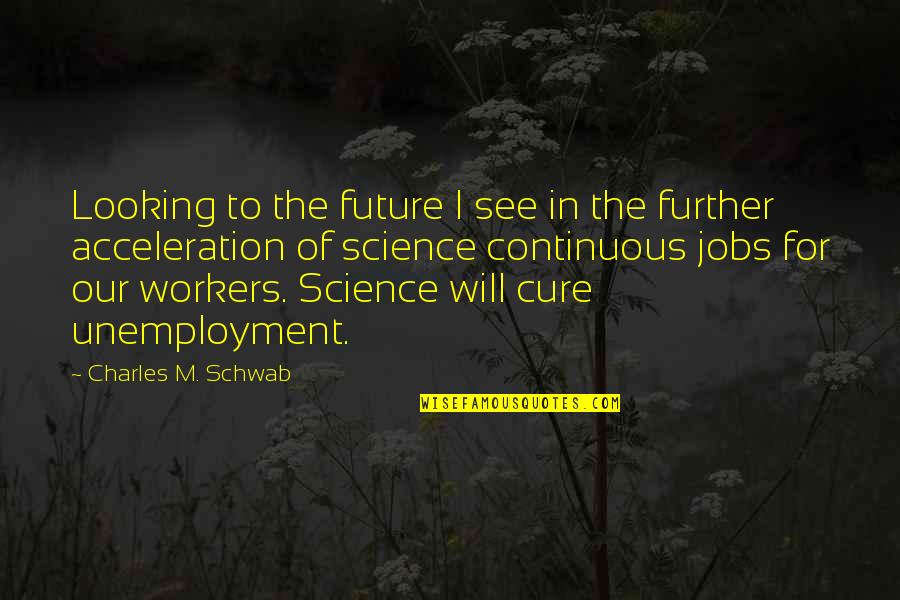Catalina Conservancy Quotes By Charles M. Schwab: Looking to the future I see in the Catalina Conservancy Quotes By Charles M. Schwab: Looking to the future I see in the
