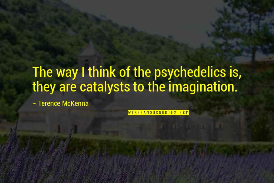 Catalysts Quotes By Terence McKenna: The way I think of the psychedelics is,