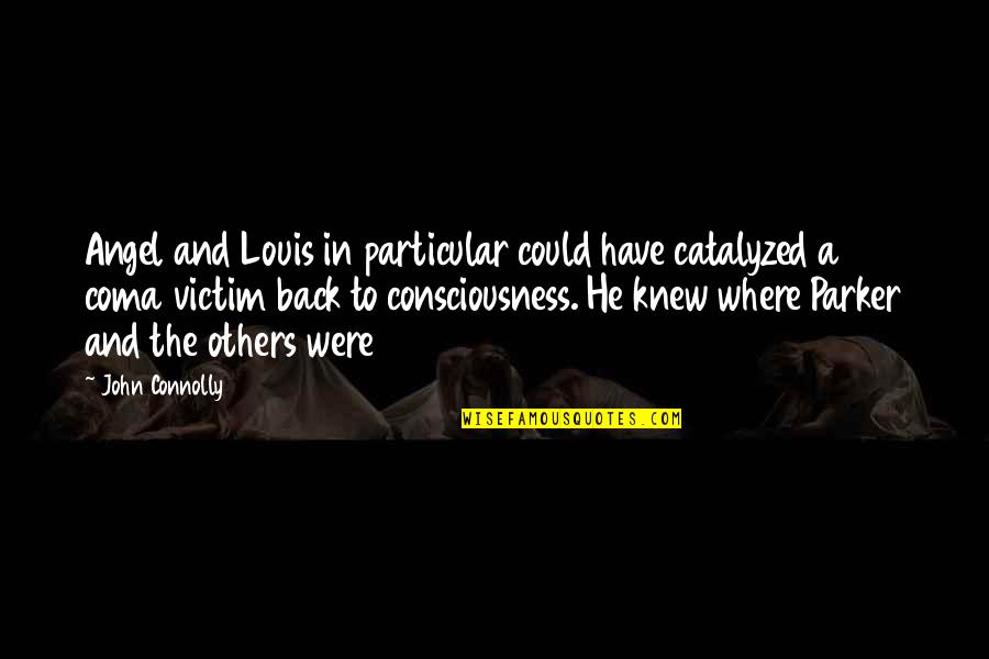 Catalyzed Quotes By John Connolly: Angel and Louis in particular could have catalyzed