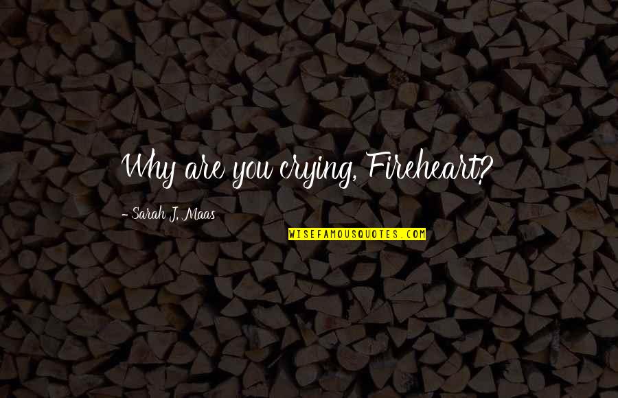 Catalyzed Quotes By Sarah J. Maas: Why are you crying, Fireheart?