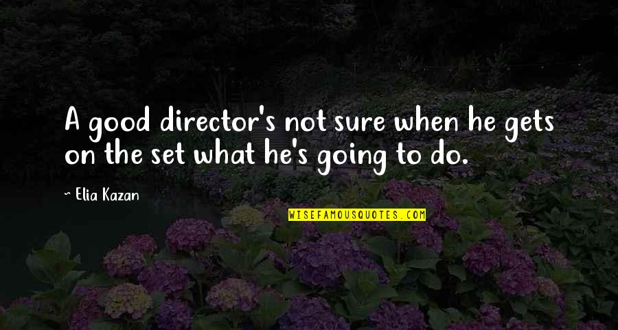 Catanzaro Italy On Map Quotes By Elia Kazan: A good director's not sure when he gets