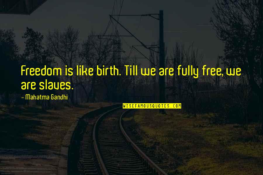 Catapano Michael Quotes By Mahatma Gandhi: Freedom is like birth. Till we are fully