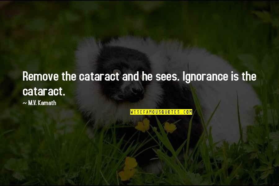 Cataract Quotes By M.V. Kamath: Remove the cataract and he sees. Ignorance is