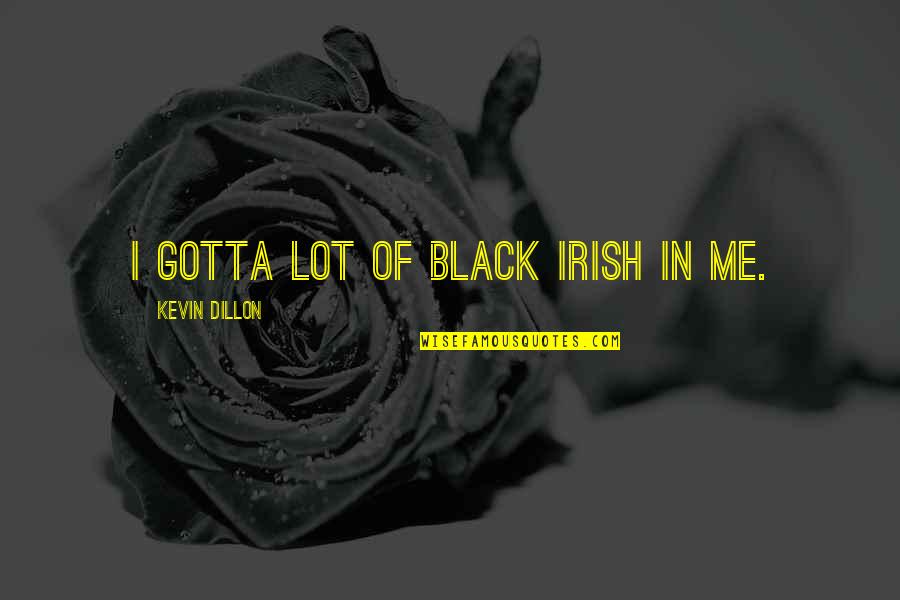 Catastrophist Theory Quotes By Kevin Dillon: I gotta lot of Black Irish in me.