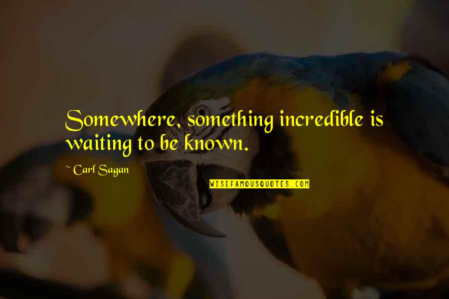 Catcalls Firework Quotes By Carl Sagan: Somewhere, something incredible is waiting to be known.