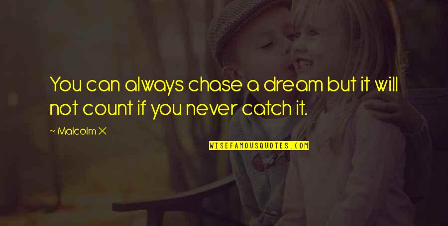 Catch Dream Quotes By Malcolm X: You can always chase a dream but it