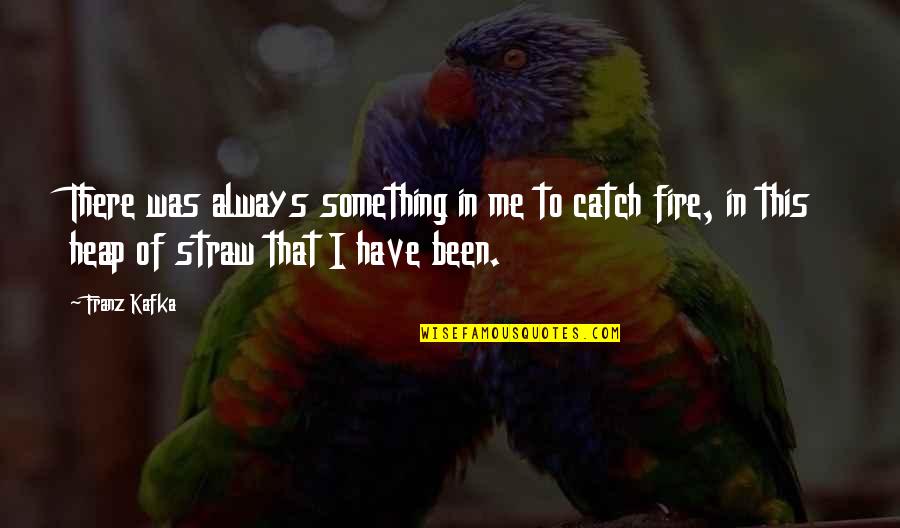 Catch Fire Quotes By Franz Kafka: There was always something in me to catch