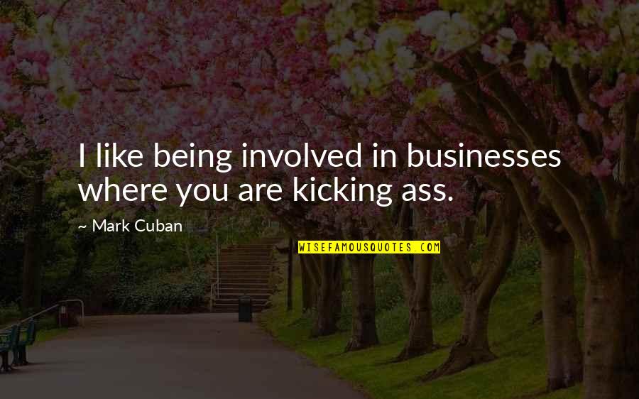 Catching Feelings Again Quotes By Mark Cuban: I like being involved in businesses where you