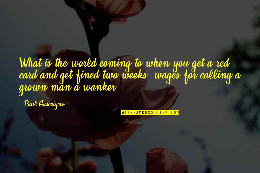 Catching Rain Quotes By Paul Gascoigne: What is the world coming to when you