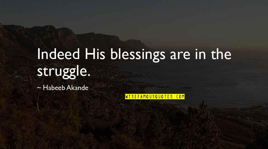 Catchment System Quotes By Habeeb Akande: Indeed His blessings are in the struggle.