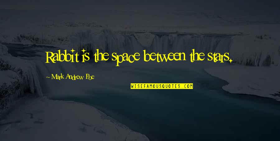 Catchy Pro Life Quotes By Mark Andrew Poe: Rabbit is the space between the stars.