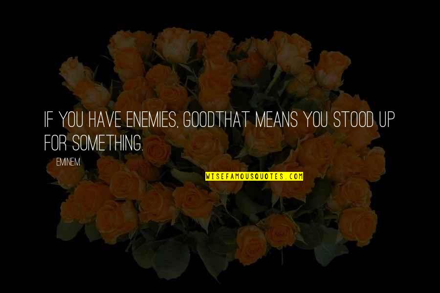 Catchy Sport Quotes By Eminem: If you have enemies, goodthat means you stood