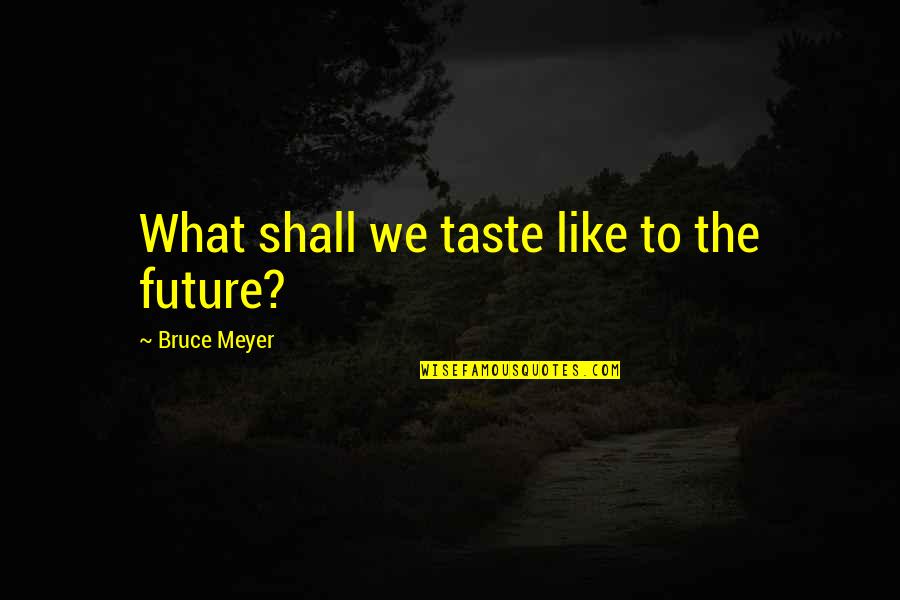 Catchy Waterfall Quotes By Bruce Meyer: What shall we taste like to the future?