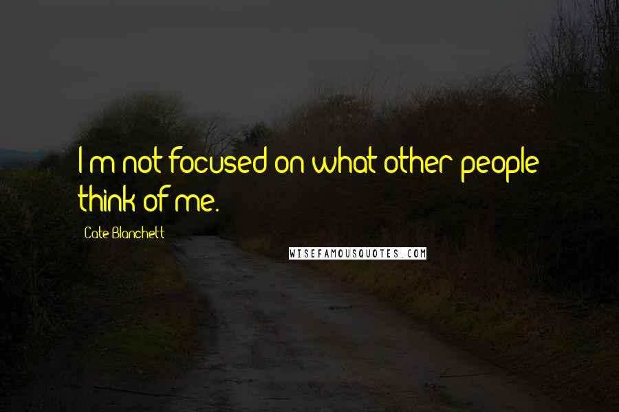 Cate Blanchett quotes: I'm not focused on what other people think of me.