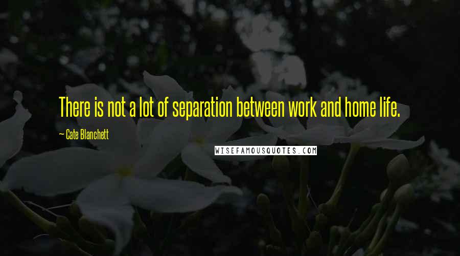 Cate Blanchett quotes: There is not a lot of separation between work and home life.