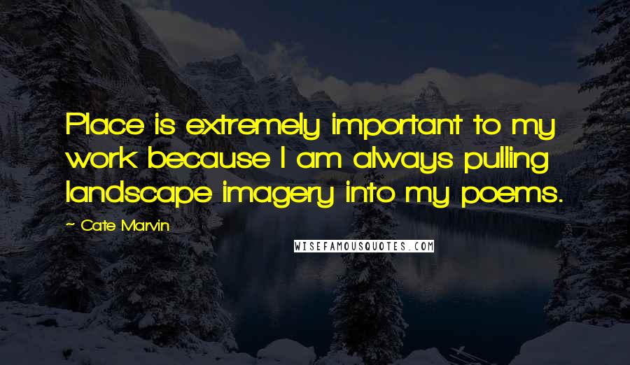 Cate Marvin quotes: Place is extremely important to my work because I am always pulling landscape imagery into my poems.