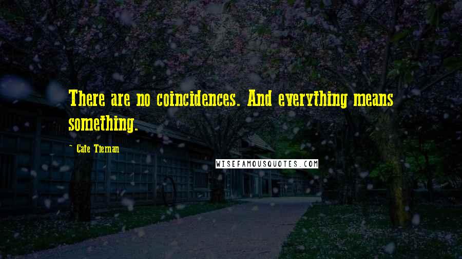 Cate Tiernan quotes: There are no coincidences. And everything means something.