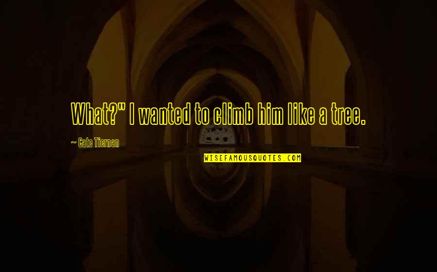 Cate Tiernan Quotes By Cate Tiernan: What?" I wanted to climb him like a Cate Tiernan Quotes By Cate Tiernan: What?" I wanted to climb him like a
