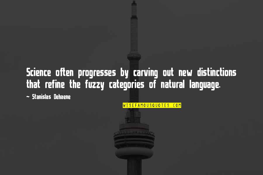 Categories Quotes By Stanislas Dehaene: Science often progresses by carving out new distinctions
