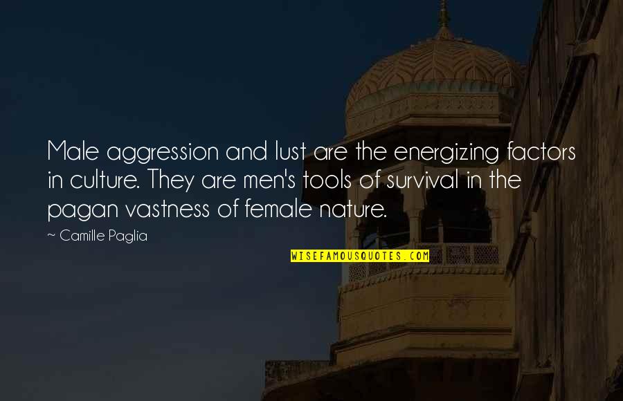 Catene Nesaturate Quotes By Camille Paglia: Male aggression and lust are the energizing factors Catene Nesaturate Quotes By Camille Paglia: Male aggression and lust are the energizing factors