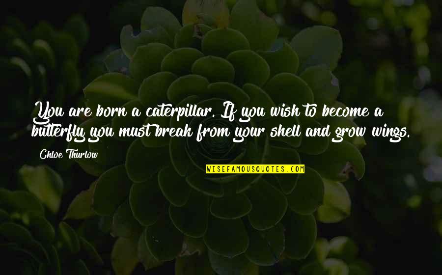 Caterpillar Inspirational Quotes By Chloe Thurlow: You are born a caterpillar. If you wish