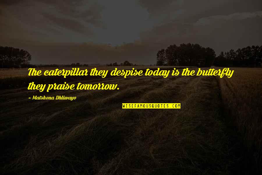Caterpillar Quotes By Matshona Dhliwayo: The caterpillar they despise today is the butterfly