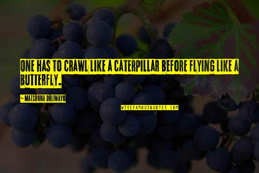 Caterpillar Quotes By Matshona Dhliwayo: One has to crawl like a caterpillar before