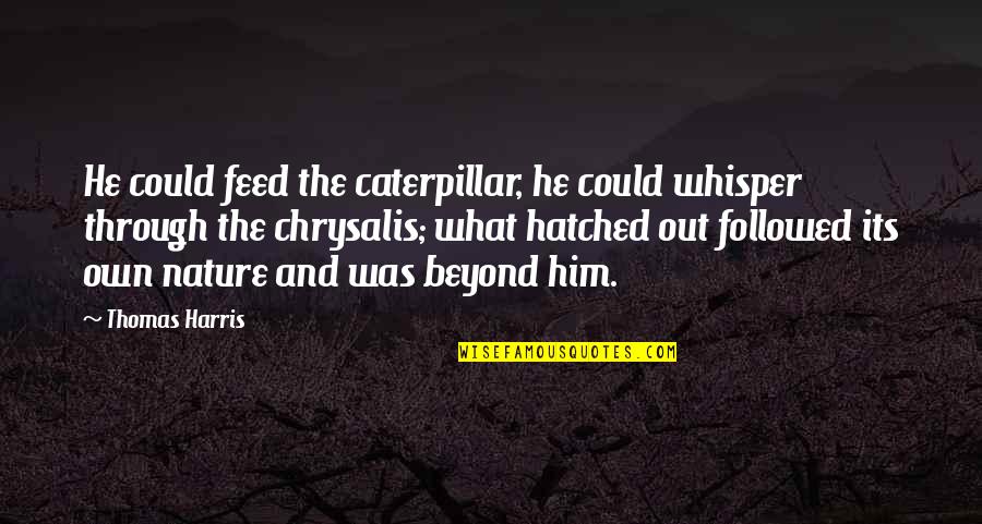 Caterpillar Quotes By Thomas Harris: He could feed the caterpillar, he could whisper