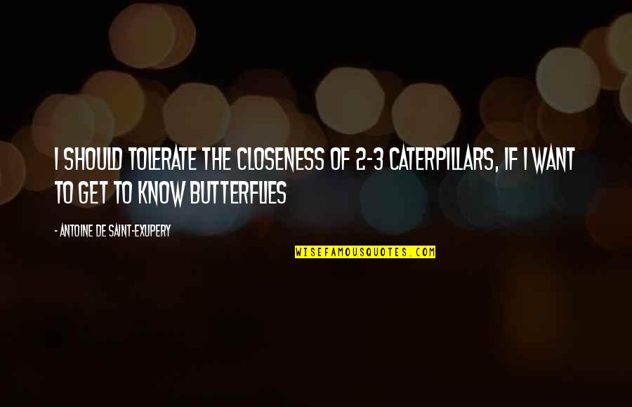 Caterpillars Into Butterflies Quotes By Antoine De Saint-Exupery: I should tolerate the closeness of 2-3 caterpillars,