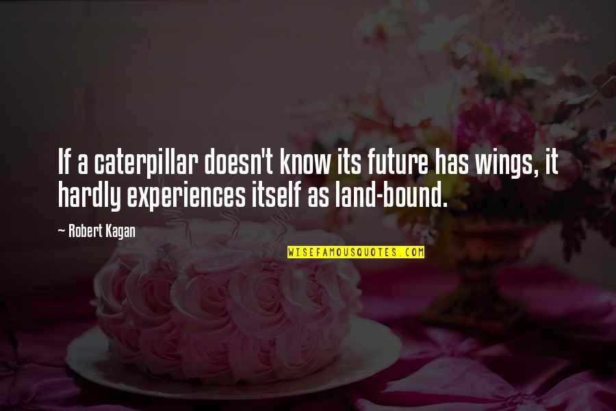 Caterpillars Quotes By Robert Kagan: If a caterpillar doesn't know its future has