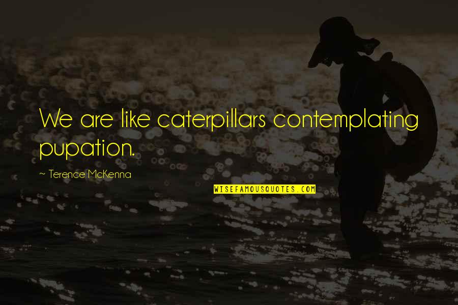 Caterpillars Quotes By Terence McKenna: We are like caterpillars contemplating pupation.