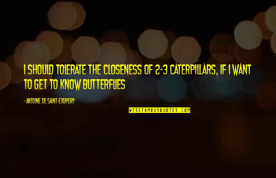 Caterpillars To Butterflies Quotes By Antoine De Saint-Exupery: I should tolerate the closeness of 2-3 caterpillars,