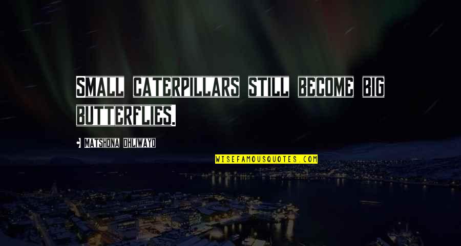 Caterpillars To Butterflies Quotes By Matshona Dhliwayo: Small caterpillars still become big butterflies.